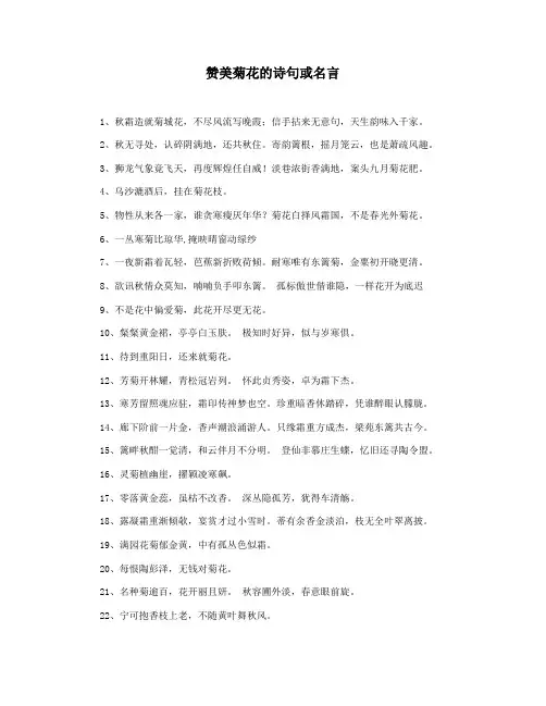 赞美菊花的诗句或名言