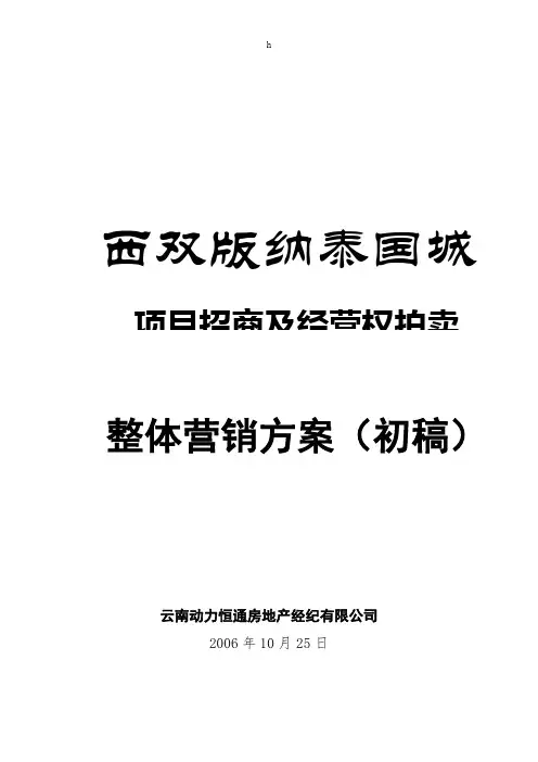 西双版纳泰国城项目整体营销方案