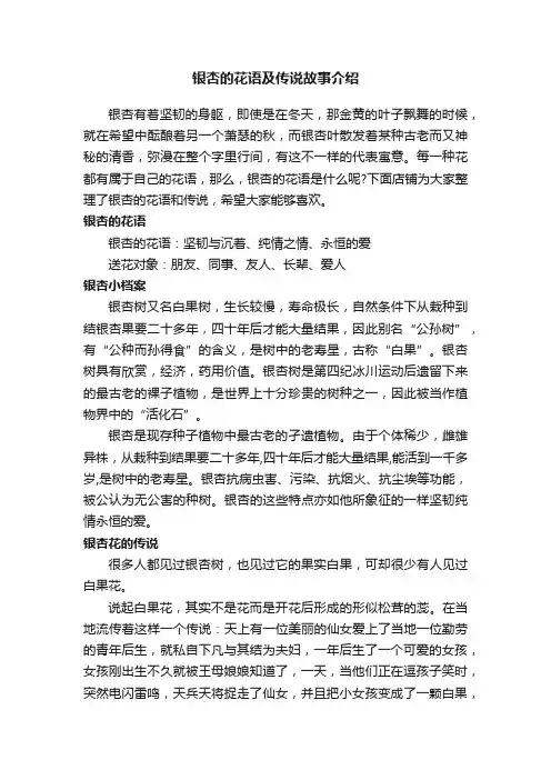 银杏的花语及传说故事介绍