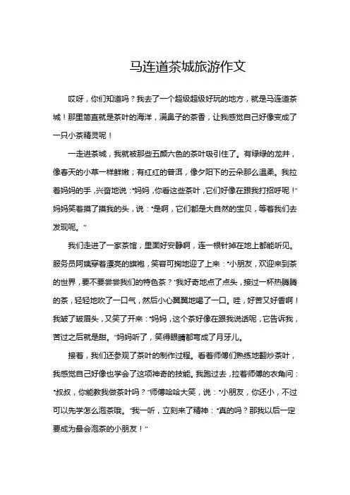 马连道茶城旅游作文