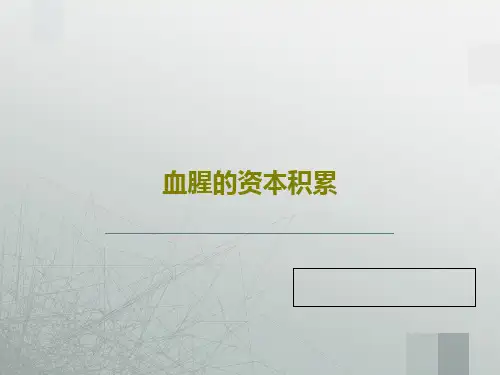 血腥的资本积累共30页PPT