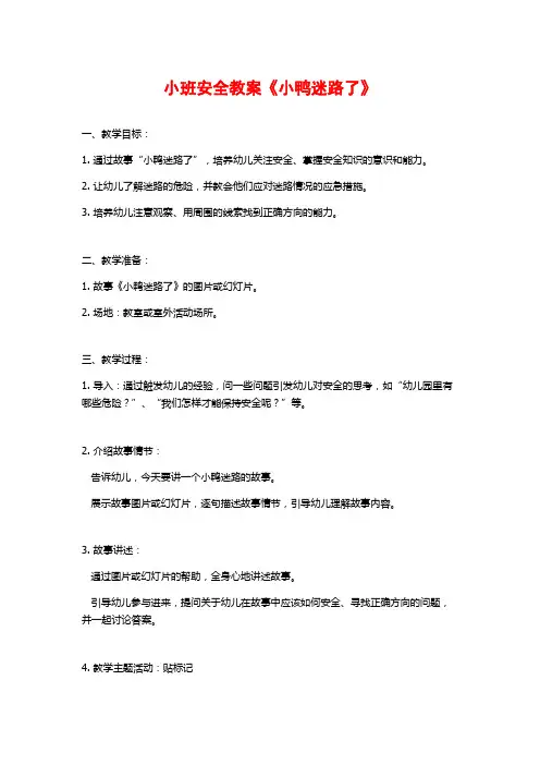 小班安全教案《小鸭迷路了》