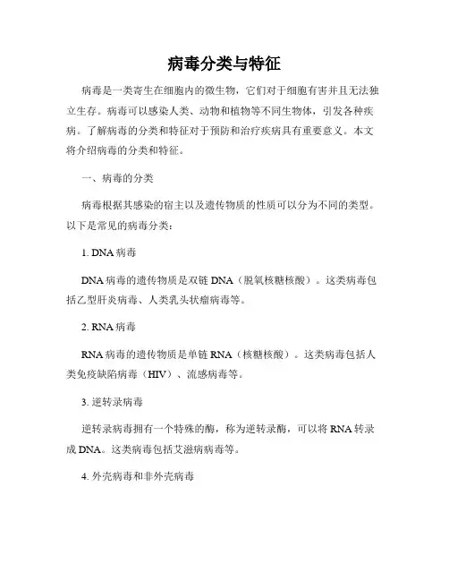 病毒分类与特征