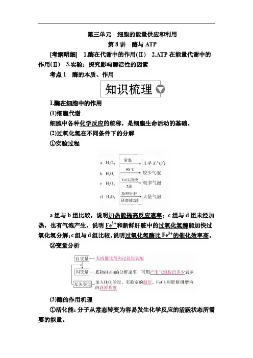 2020版高考生物高分计划一轮讲义：第8讲 酶与ATP Word版含解析
