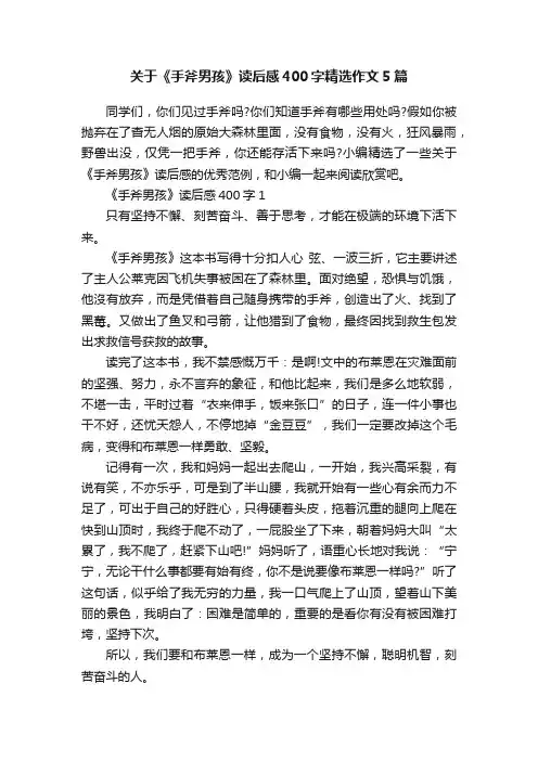 关于《手斧男孩》读后感400字精选作文5篇