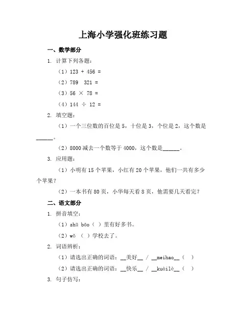 上海小学强化班练习题