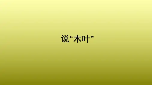 统编版 语文必修下册 9《说“木叶”》课件(5)