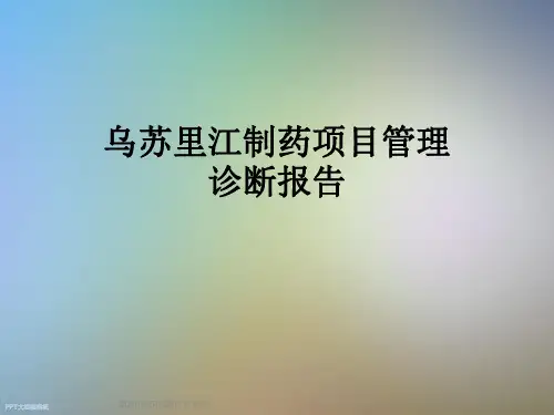 乌苏里江制药项目管理诊断报告