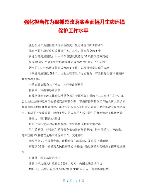-强化担当作为狠抓整改落实全面提升生态环境保护工作水平