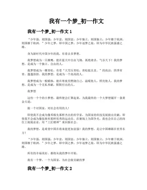我有一个梦初一作文