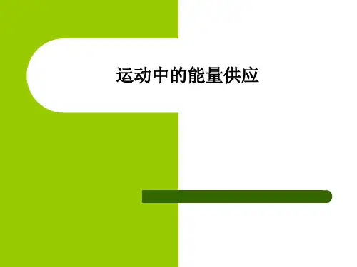 运动中的能量供应