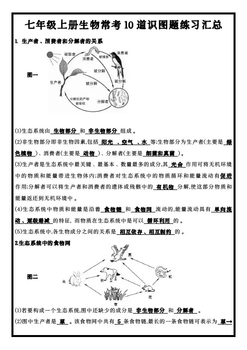 七年级上册生物生物识图