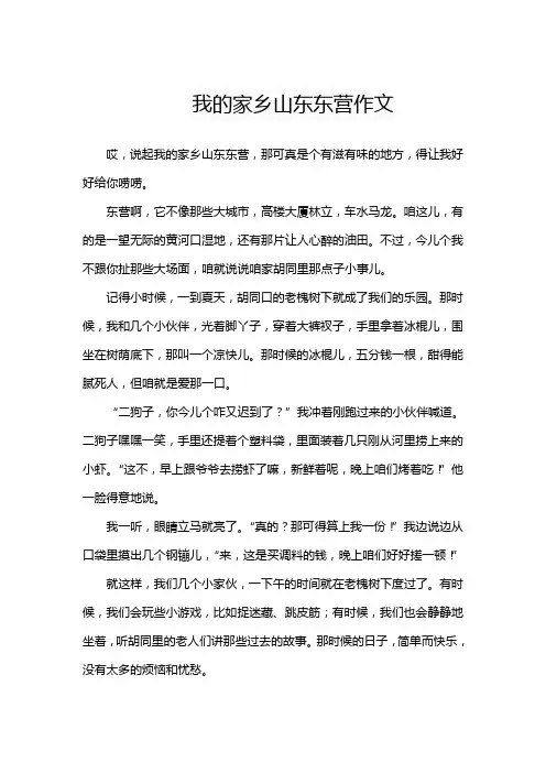 我的家乡山东东营作文