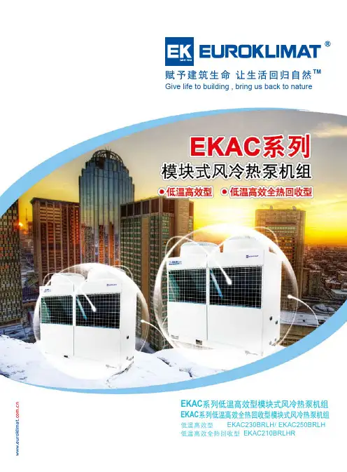 EKAC风冷模块低温高效