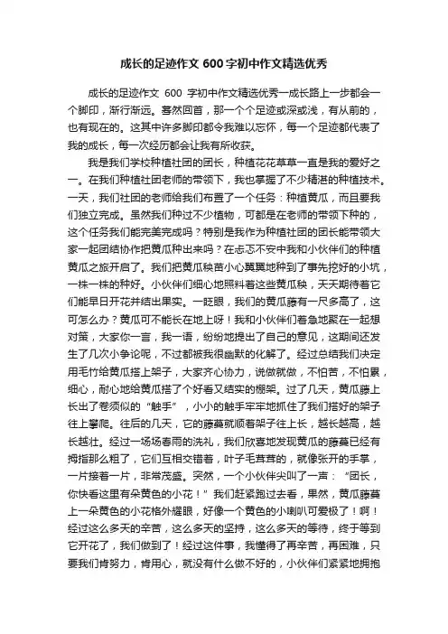 成长的足迹作文600字初中作文精选优秀