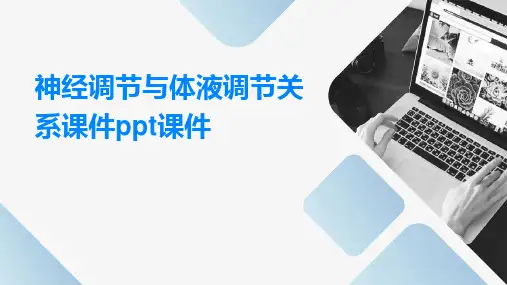 神经调节与体液调节关系课件PPT课件