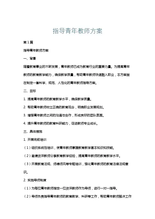 指导青年教师方案