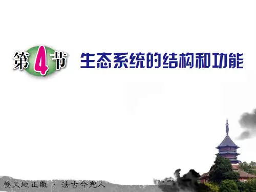 初中生物人教版生态系统ppt教学课件(优选)