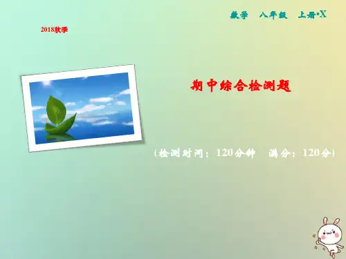 【精品推荐】2020年秋八年级数学上册期中综合检测卷课件新版湘教版