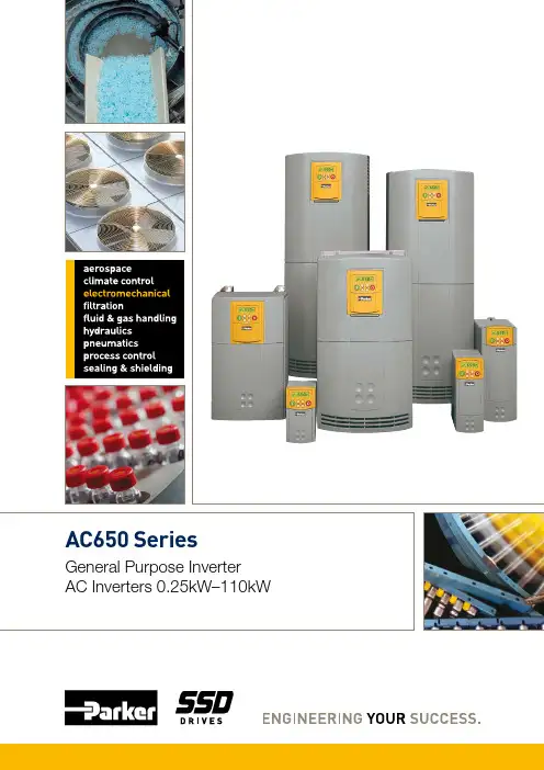 AC650系列一般目的逆变器产品介绍说明书