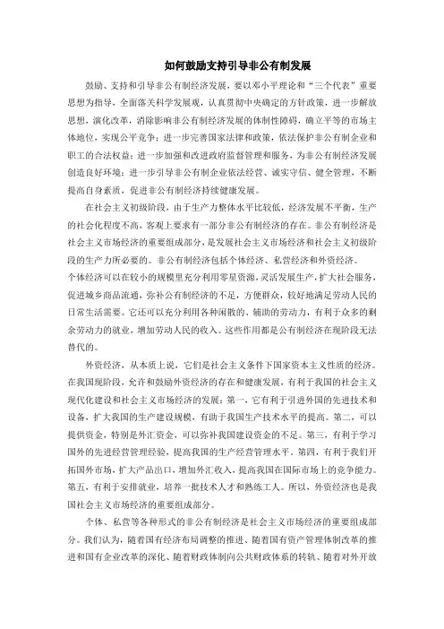 如何鼓励支持引导非公有制发展