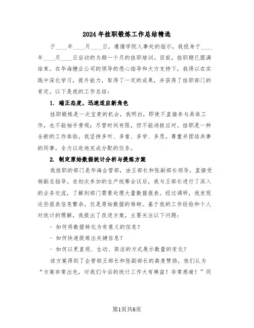 2024年挂职锻炼工作总结精选（四篇）