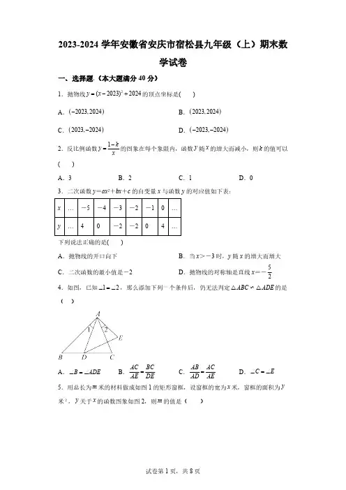 安徽省安庆市宿松县2023-2024学年九年级上学期期末数学试题[答案]