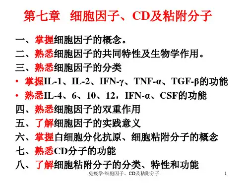 免疫学-细胞因子、CD及粘附分子ppt课件