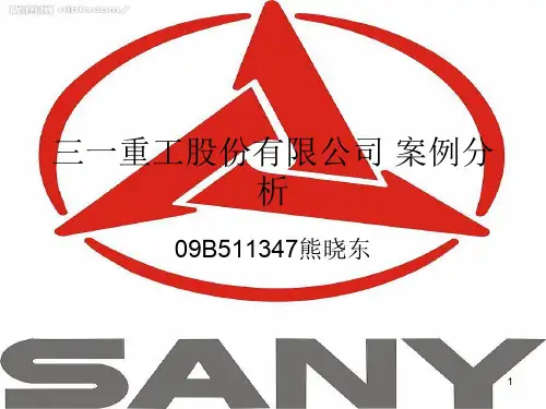 某股份有限公司案例分析(PPT 32页)