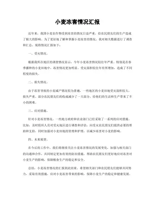 小麦冻害情况汇报