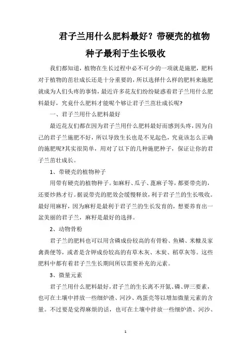 君子兰用什么肥料最好？带硬壳的植物种子最利于生长吸收