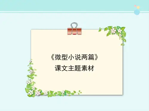 《微型小说两篇》课文主题素材2-完整版PPT课件
