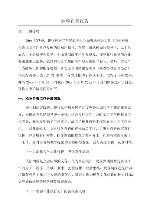 纳税自查报告