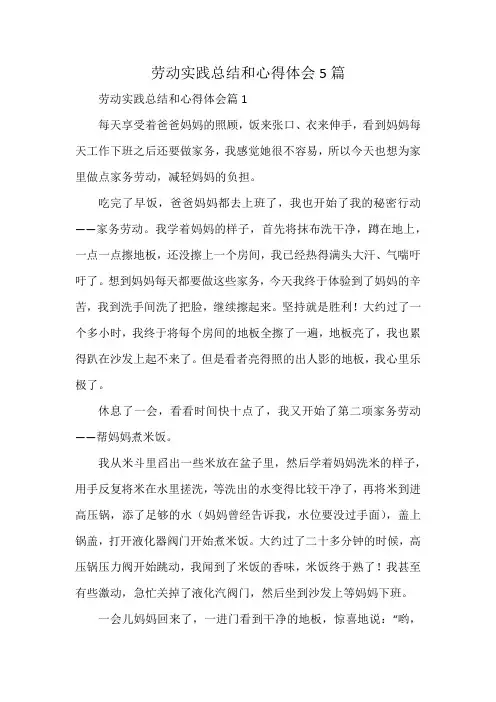 劳动实践总结和心得体会5篇