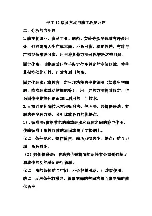 生物工程—蛋白质与酶工程复习题