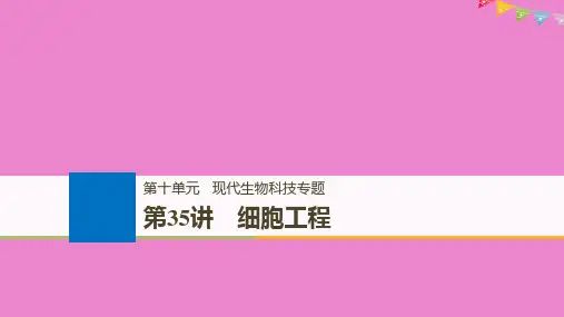 生物高考大一轮复习第十单元现代生物科技专题第35讲细胞工程课件北师大版