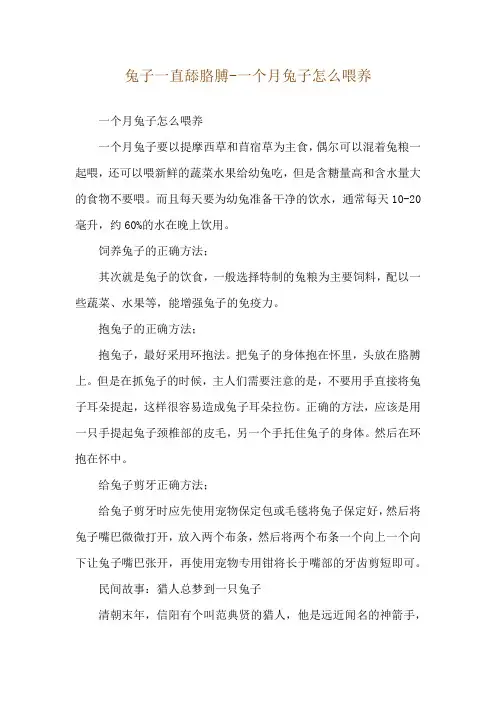 兔子一直舔胳膊-一个月兔子怎么喂养
