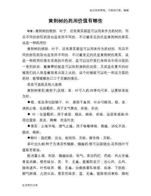 黄荆树的药用价值有哪些