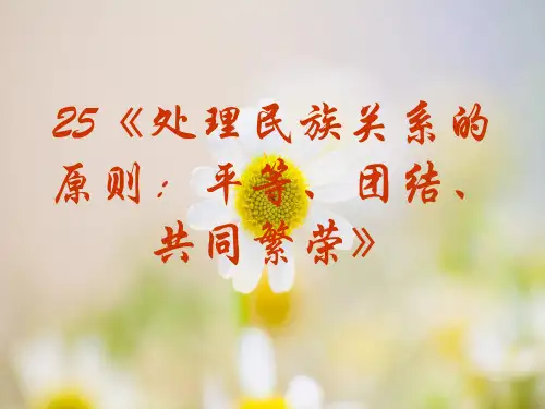 处理民族关系的原则PPT教学课件