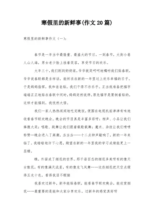 寒假里的新鲜事(作文20篇)