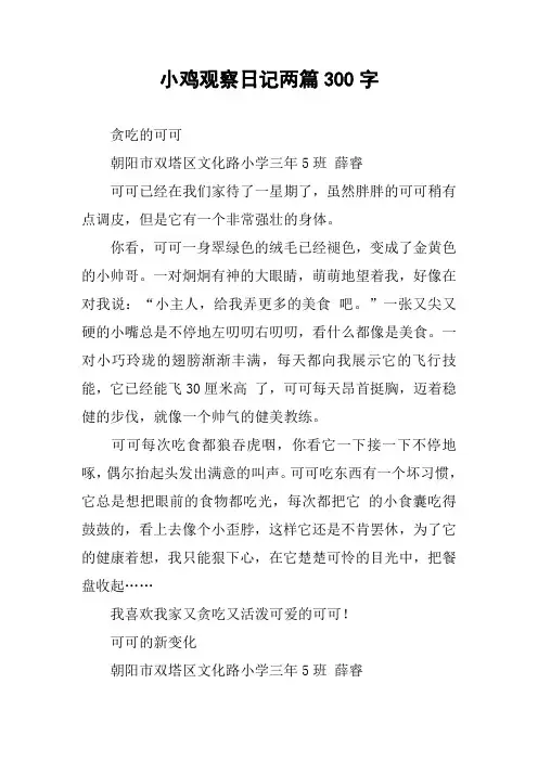 小鸡观察日记两篇300字作文