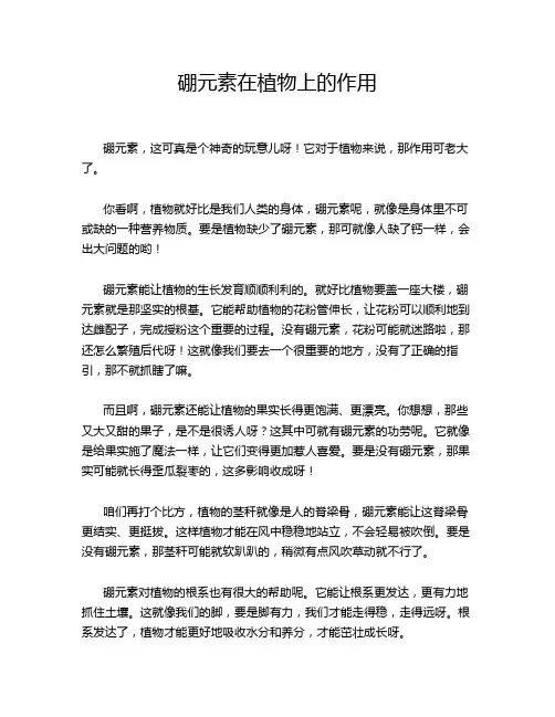 硼元素在植物上的作用