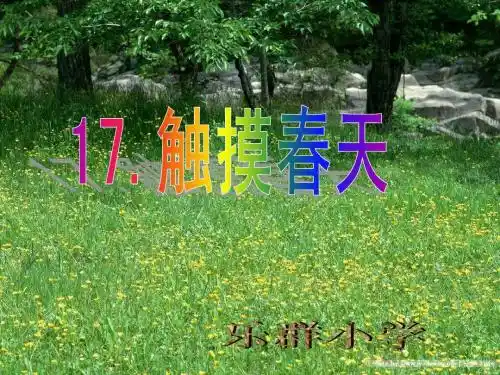 触摸春天(第一课时) (2)