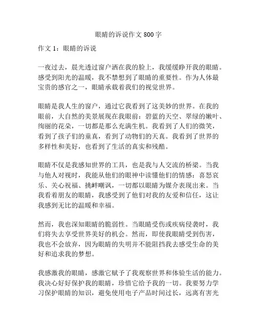 眼睛的诉说作文800字
