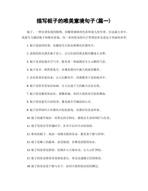 描写栀子的唯美意境句子(精选两篇)