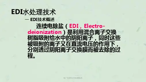 电厂化学EDI水处理技术课件