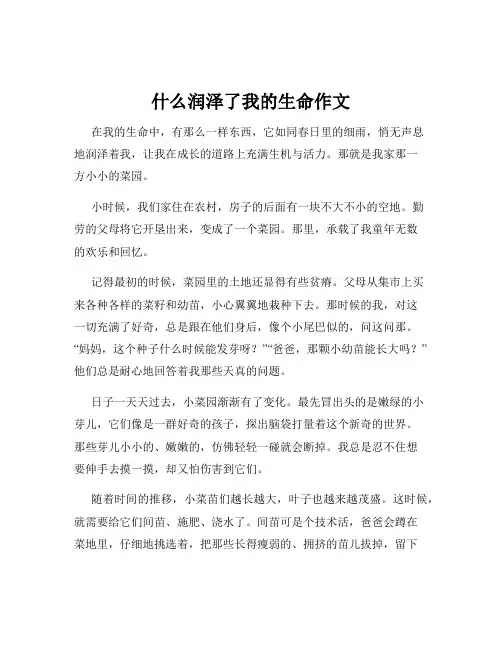 什么润泽了我的生命作文