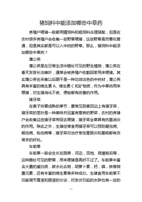 猪饲料中能添加哪些中草药