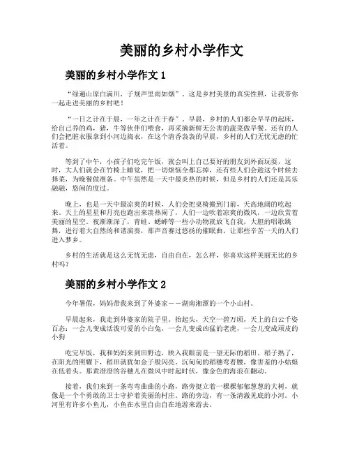 美丽的乡村小学作文