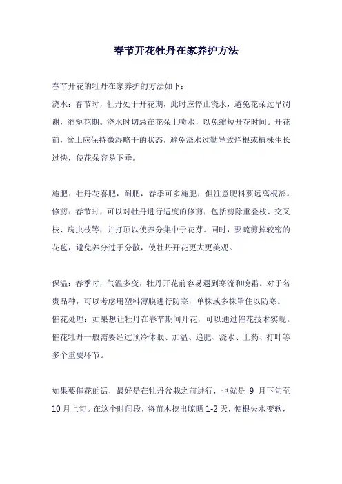 春节开花牡丹在家养护方法